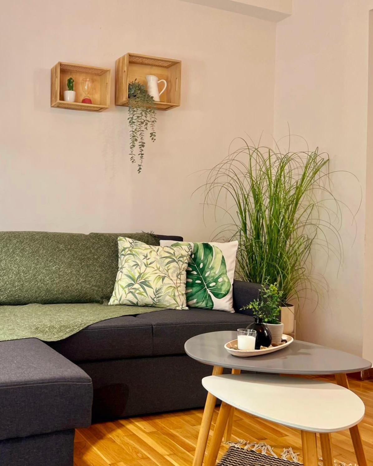 Charming House 2 Apartment