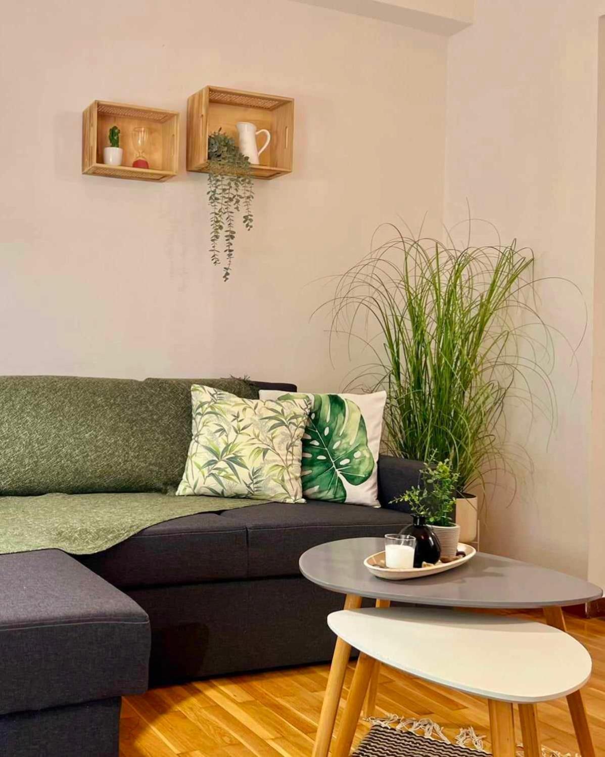 Charming House 2 Apartment *